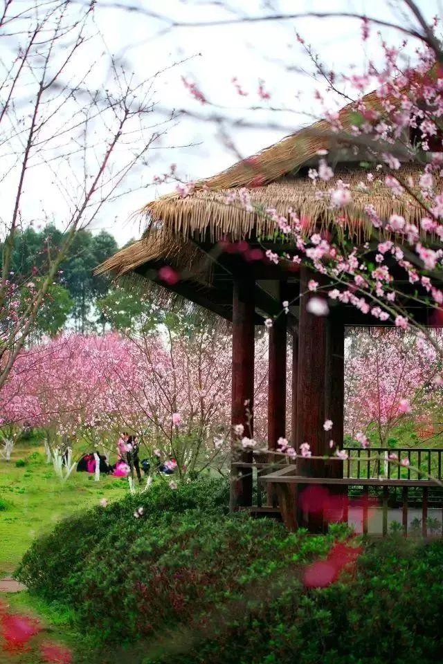 逃离荒废房屋