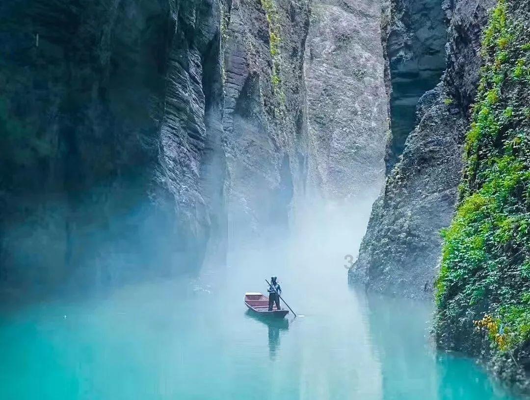 牙齿最多的动物-专业的红迪网社区平台