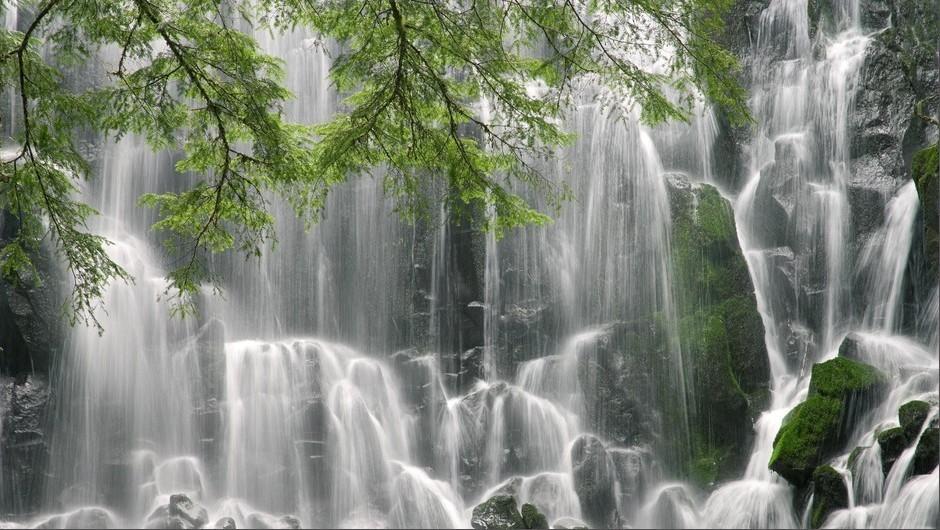 春雨直播app